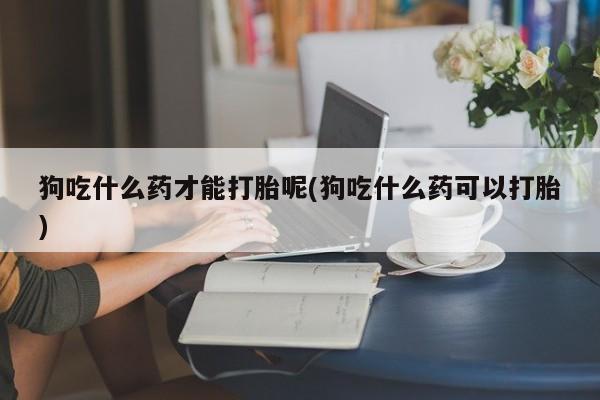 打胎药私人店购买微信狗吃什么药才能打胎呢(狗吃什么药可以打胎)