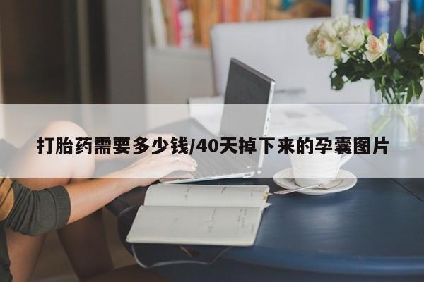 打胎药私人店购买微信打胎药需要多少钱/40天掉下来的孕囊图片